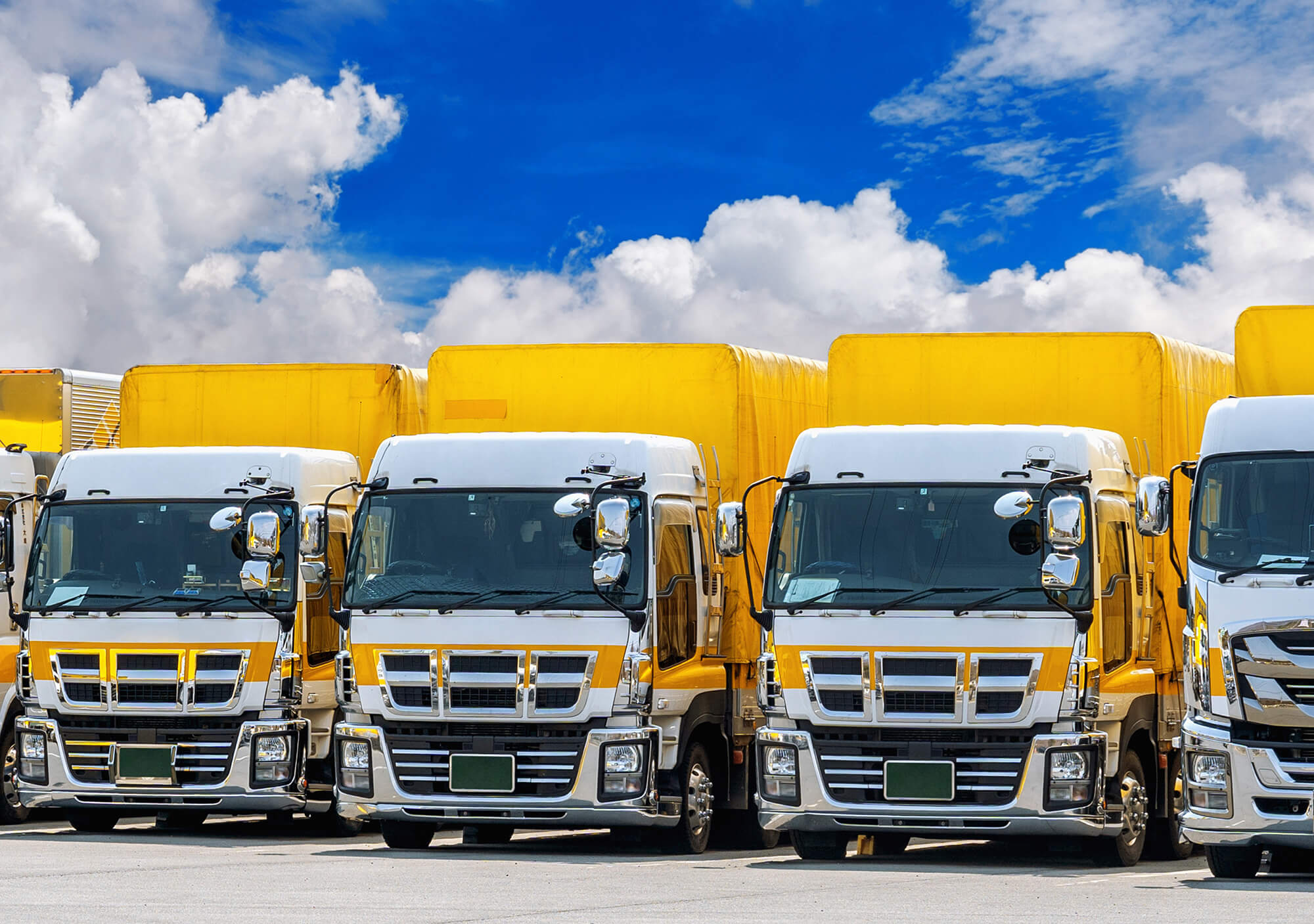 Truck Fleet 132033902